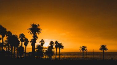 Günbatımı, Camps Bay, Cape Town, Güney Afrika
