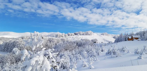 Mysterious Winter Landscape Majestic Mountains Winter Magical Winter Snow Covered — Stock Photo, Image