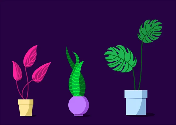 Planterade krukväxter — Stock vektor