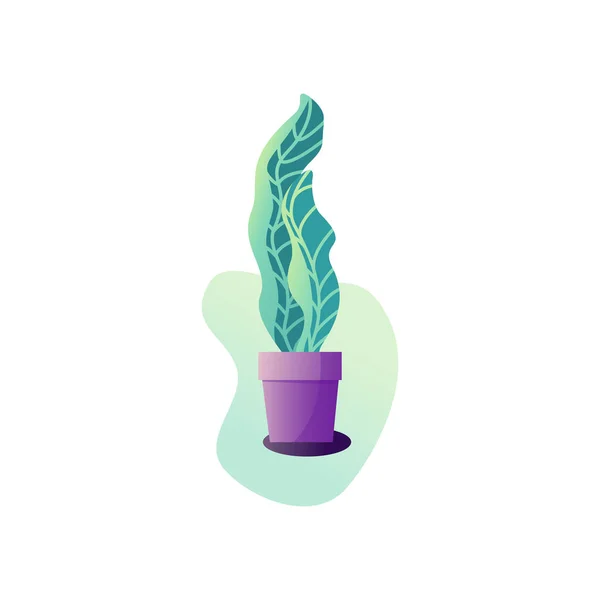 Planta em vaso de abstração. Ilustração vetorial das folhas de uma planta de sala . —  Vetores de Stock