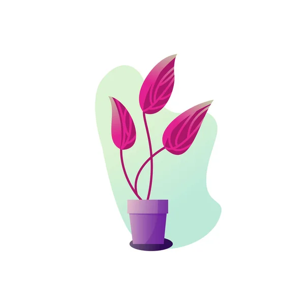 Planta en maceta de abstracción. Ilustración vectorial de las hojas de una planta de interior . — Vector de stock