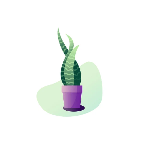 Abstraction Sansevieria potted plant. Vector illustration of the leaves of a houseplant. — Stock Vector