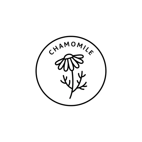 Ромашка Цветок травяные органические значок и иконка в тренде линейный стиль - векторный логотип эмблемы медицинской ромашки — стоковый вектор