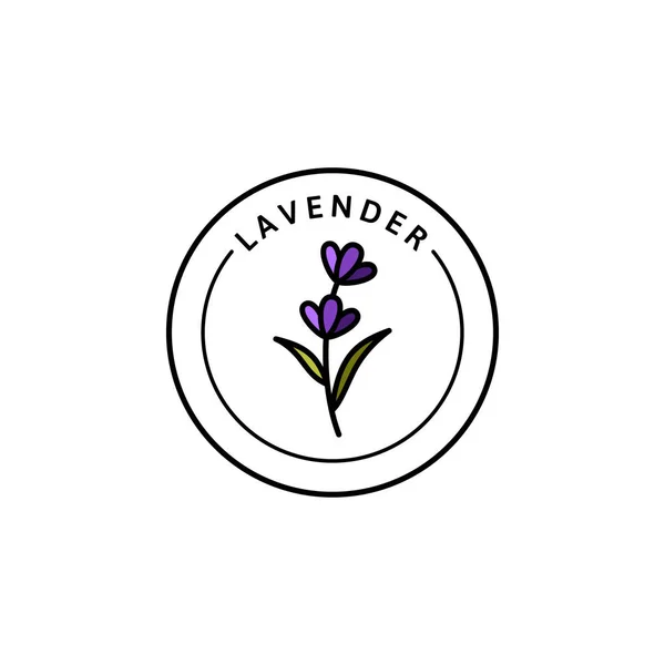 Лавандовый логотип Lavender в модном линейном стиле. Векторная травяная органическая лаванда — стоковый вектор