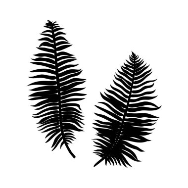 Black fern Leaf Silhouette isolated on white background. Vector Illustration clipart