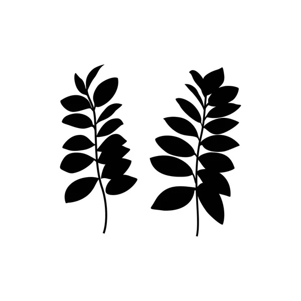 Silueta de hoja de zamia negra aislada sobre fondo blanco. Ilustración vectorial — Archivo Imágenes Vectoriales