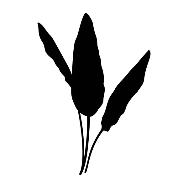Silueta de hoja de plátano negro aislada sobre fondo blanco. Vector Ilustración de plantas tropicales — Archivo Imágenes Vectoriales