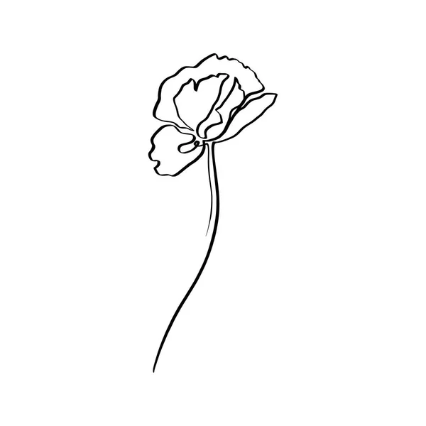 Flor de papoula é uma linha de arte. Vector contorno abstrato desenho floral em um estilo minimalista na moda . — Vetor de Stock