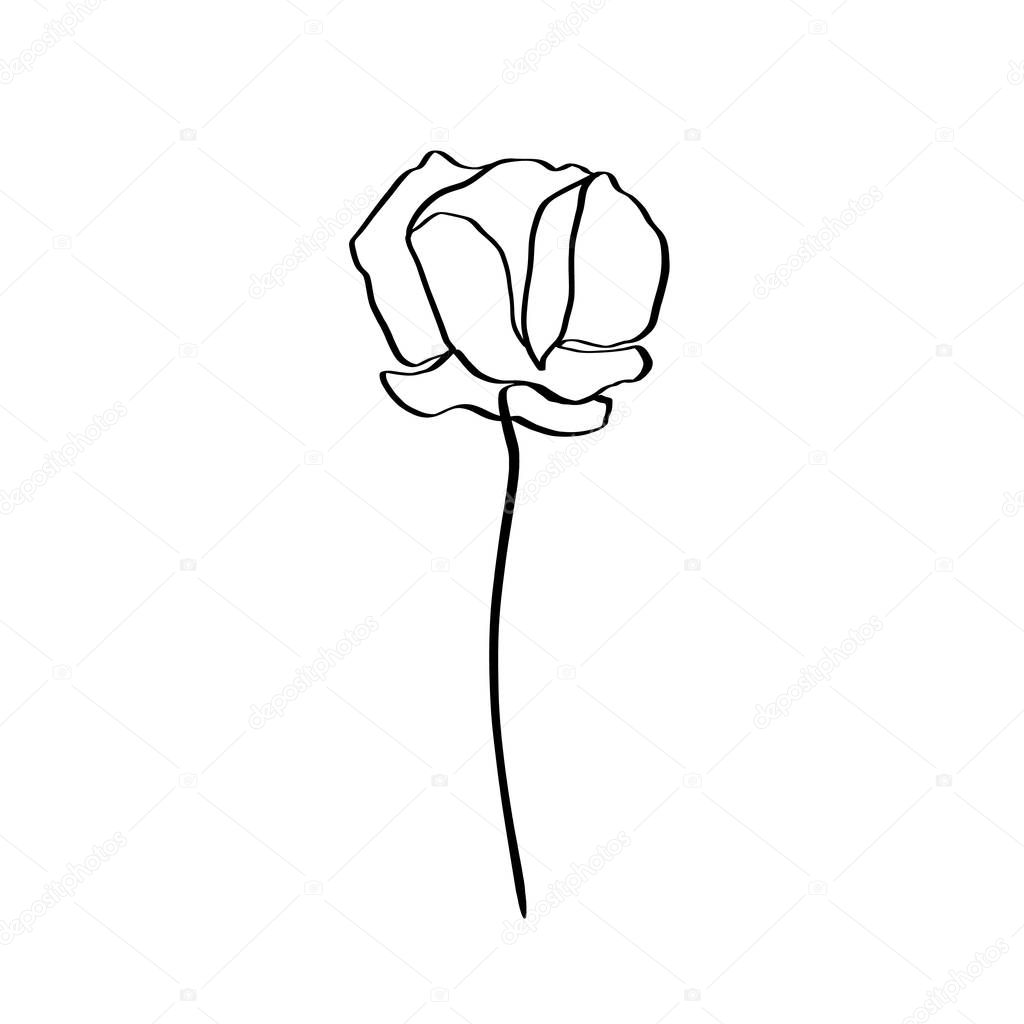 Poppy Flower Is One Line Art. Vector abstract Plant in a Trendy Minimalist Style. For the design of Logos, Invitations, posters, Postcards, prints on t-Shirts.