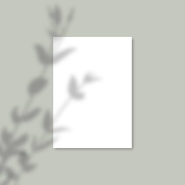 Gölge Kaplama Santrali Vektör Model A4 Kağıt Çarşafları. Mavi arkaplanda bir yaprağın gölgeler örtüsü efektleri