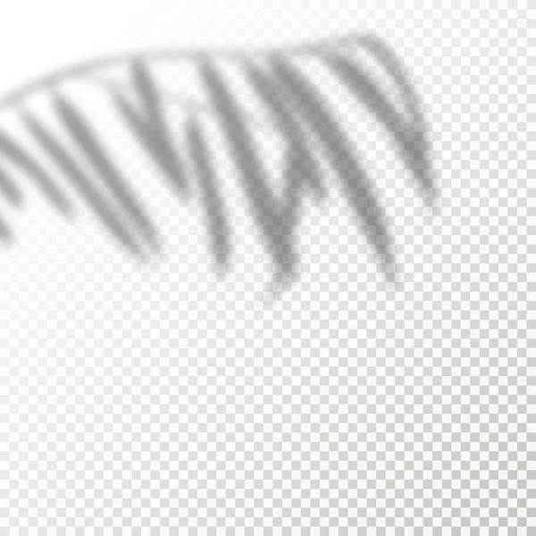Árnyék overlay Plant vektor mockup. Az átlátszó Shadows overlay hatásai Leaf egy modern minimalista stílusban. — Stock Vector