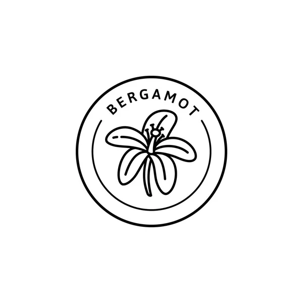 Икона цветов Бергамота в модном линейном стиле. Векторные органические эмблемы Bergamot — стоковый вектор