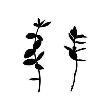 Bir bitki dalı silueti. Beyaz arka plan üzerinde izole otlar Vektör monokrom çiçek illüstrasyon
