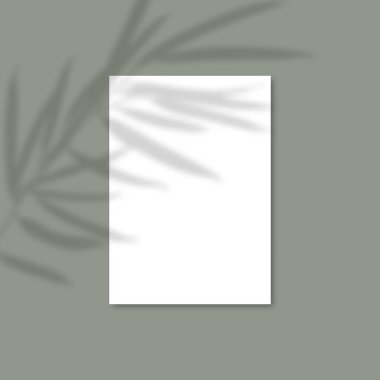 Gölge Kaplama Tesisi Vektör Mockup A4 Kağıt levhalar. Gölgeler bir yaprağın kaplama efektleri