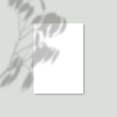 Gölge Kaplama Tesisi Vektör Mockup A4 Kağıt levhalar. Gölgeler bir yaprağın kaplama efektleri