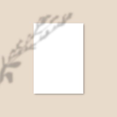 Gölge Kaplama Tesisi Vektör Mockup A4 Kağıt levhalar. Gölgeler bir yaprağın kaplama efektleri