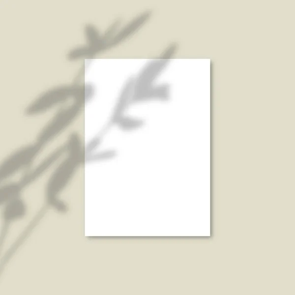 Shadow Overlay Pflanzenvektor-Attrappe a4 Papierblätter. Schatten überlagern Effekte eines Zweiges — Stockvektor