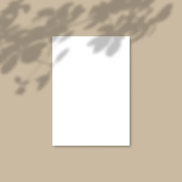 Planta de superposición de sombra Vector Mockup A4 Hojas de papel. Sombras efectos superpuestos de una hoja — Vector de stock