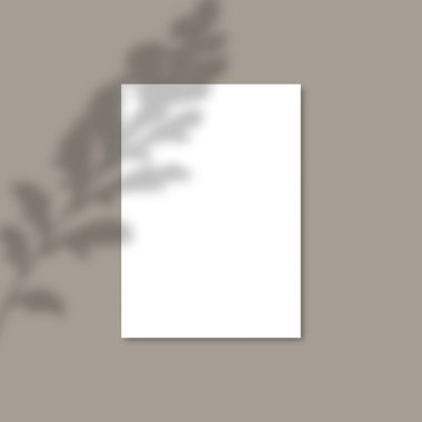 Gölge Kaplama Tesisi Vektör Mockup A4 Kağıt levhalar. Gölgeler bir yaprağın kaplama efektleri