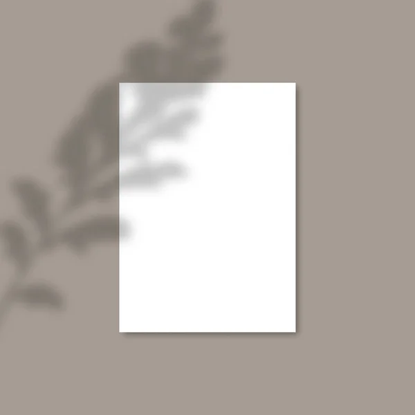 Shadow Overlay Pflanzenvektor-Attrappe a4 Papierblätter. Schatten überlagern Effekte eines Blattes — Stockvektor