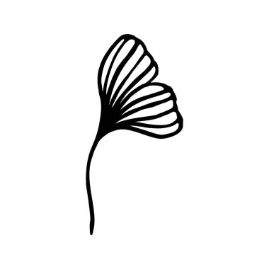 Ginkgo biloba yaprağı el hatları çizilmiş. Moda Minimalist Biçimli Vektör Çiçek Sanatı.