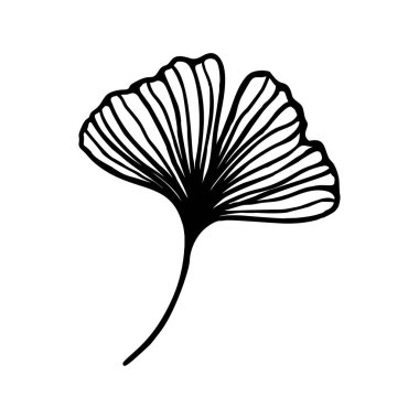 Ginkgo biloba yaprağı el hatları çizilmiş. Moda Minimalist Biçimli Vektör bitkisel simgesi.