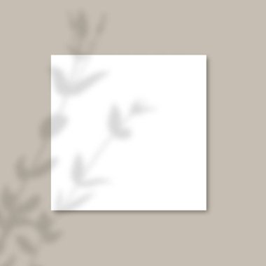 Bitkilerin gölgesi. Gri arkaplandaki yaprakları gerçekçi gölgelerle kaplayan Kare Kağıt Model.