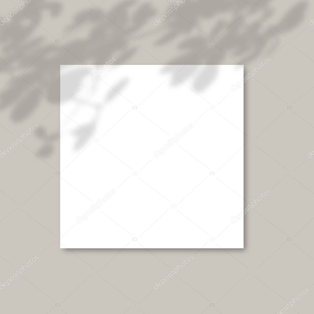 The shadow of the plants. Square Paper Mockup with realistic shadows overlays leaves on gray background. Vector.