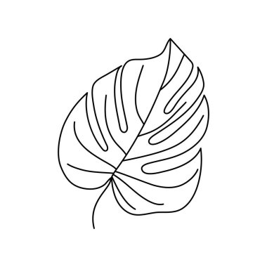 Tropikal bitkilerden oluşan canavar yaprağı. Trendi Minimalist tarzında ana hatlarıyla Palm leaf. Vektör İllüstrasyonu.