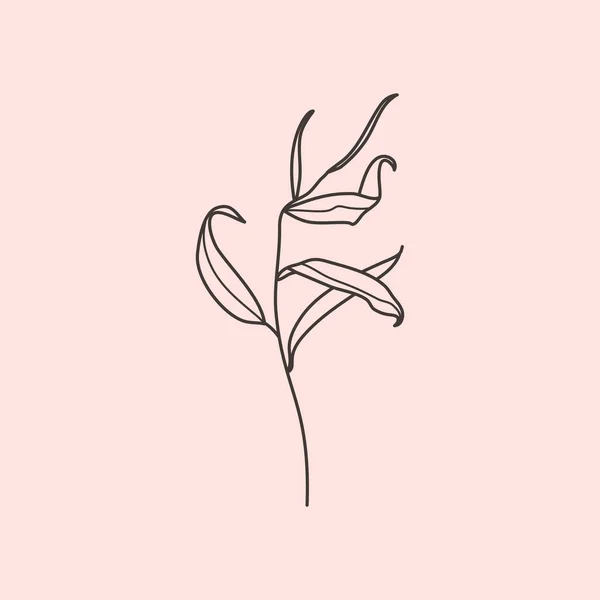 流行のミニマルなスタイルで葉を持つ柳の枝 植物設計要素の概要 花のベクターイラスト Tシャツ ウェブデザイン ポスター ロゴ作成用 — ストックベクタ