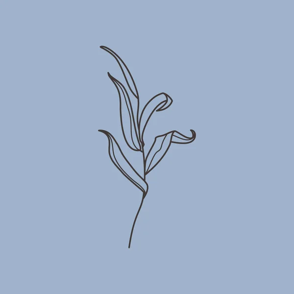 Weidenzweig Mit Blättern Trendigen Minimalistischen Stil Umriss Einer Botanischen Gestaltungselemente — Stockvektor