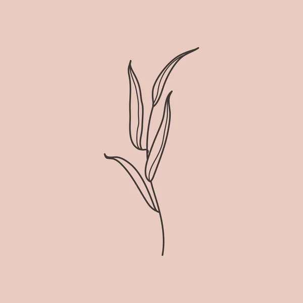 流行のミニマルなスタイルで葉を持つ柳の枝 植物設計要素の概要 花のベクターイラスト Tシャツ ウェブデザイン カード ロゴ作成 パターンを印刷するための — ストックベクタ