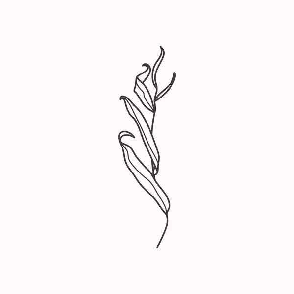 流行のミニマルなスタイルで葉を持つ柳の枝 植物設計要素の概要 花のベクターイラスト Tシャツ ソーシャルメディアの投稿 ポスター ロゴ作成のための印刷 — ストックベクタ