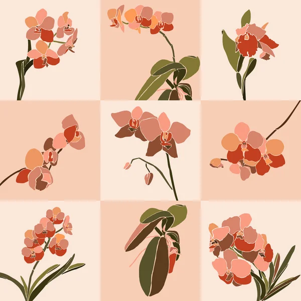 Art Collage Orchideenblume Einem Minimalen Trendigen Stil Silhouette Von Orchideenpflanzen — Stockvektor