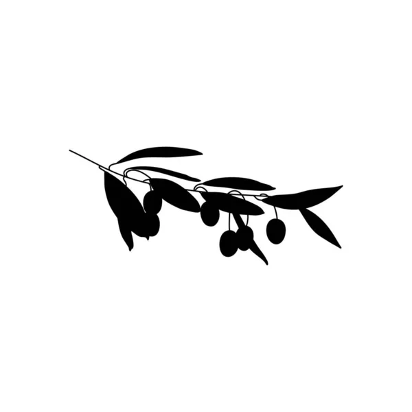 Rama de Oliva Silueta con hojas. Bosquejo Hojas botánicas en un estilo minimalista moderno. Ilustración vectorial. — Archivo Imágenes Vectoriales