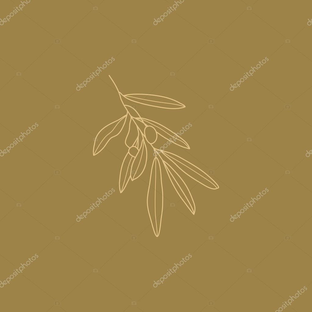 Olive Branch with leaves and Fruit. Outline Botanical leaves In a Modern Minimalist Style. Vector Illustration For printing on t-shirt, Web Design, beauty Salons, Posters, creating a logo