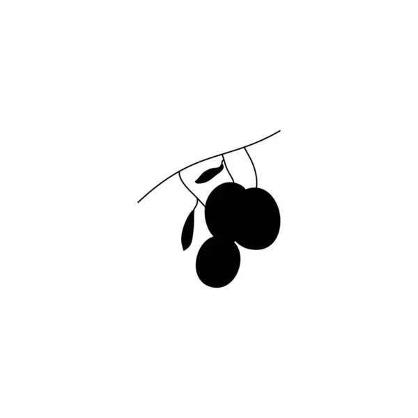 Silhouette Olivenzweig mit Früchten und Blättern. Botanische Blätter in einem einfachen Stil umreißen. Vektorillustration — Stockvektor