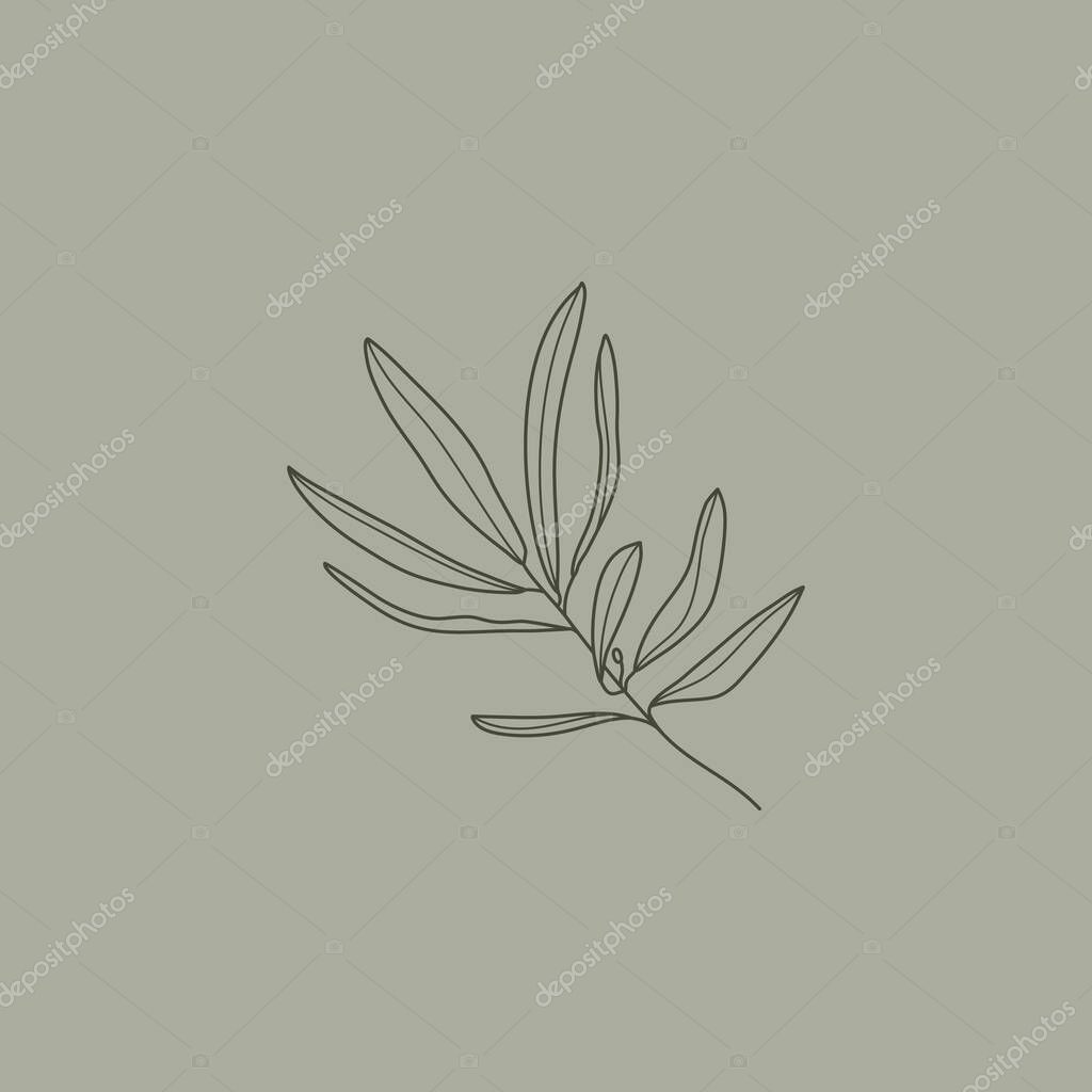 Olive Branch with leaves. Outline Botanical leaves In a Modern Minimalist Style. Vector Illustration. For printing on t-shirt, Web Design, beauty Salons, Posters, creating a logo and other