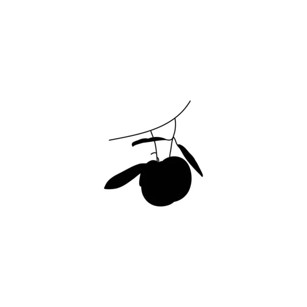 Silhouette Olive Branch com frutas e folhas. Esboço Folhas botânicas em um estilo simples. Ilustração vetorial . — Vetor de Stock