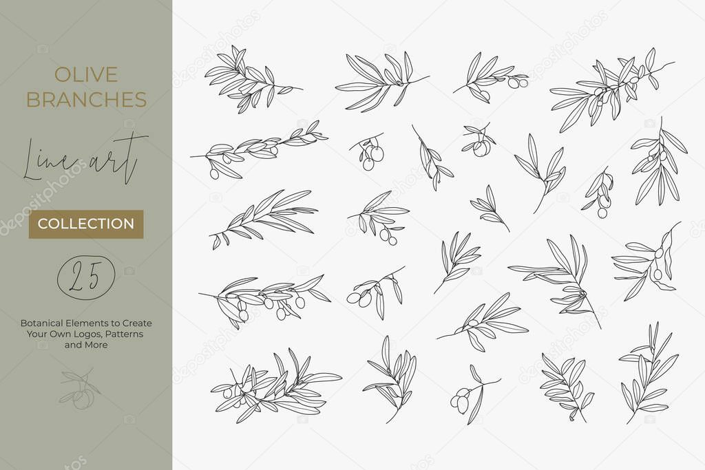 A set of Olive Branches in a Modern Linear Minimal Style. Vector Illustrations of Branches With fruits and Leaves for creating logos, patterns, greeting cards, wedding Invitations