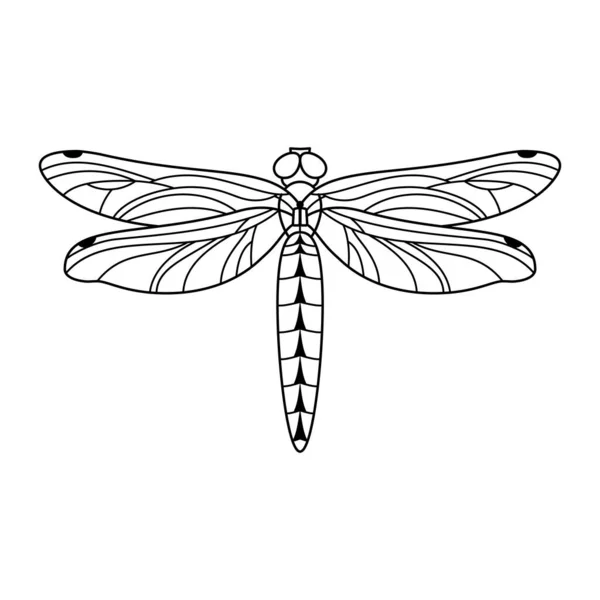 Doğrusal Minimalist tarzında yusufçuk ikonu. Güzellik salonlarının, manikürlerin, masajların, kaplıcaların, takıların, dövmelerin ve el yapımı sanatçıların logolarını oluşturan kanatlı Böcek Amblemi..