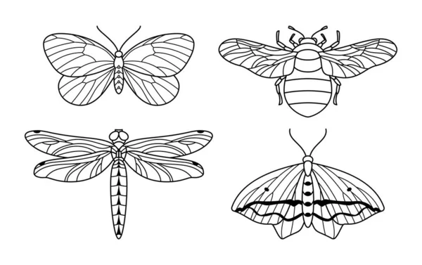 Una serie di icone di insetti delinea in uno stile trendy. Illustrazioni lineari vettoriali di farfalle, calabroni e libellule — Vettoriale Stock