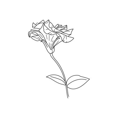 Yapraklı Lisianthus Çiçekleri. Eustoma 'nın Modern Minimalist Tarzı. Vektör Çiçek İllüstrasyonu. Tişört, web tasarımı, güzellik salonları, posterler, bir logo ve diğer şeyleri bastırmak için.
