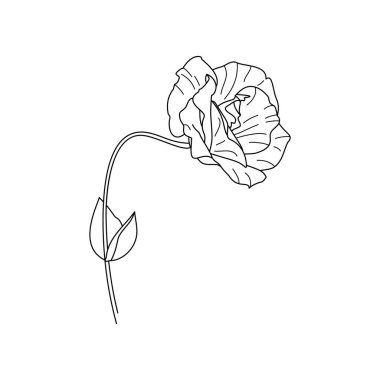 Yapraklı Lisianthus Çiçekleri. Eustoma 'nın Modern Minimalist Tarzı. Vektör Çiçek İllüstrasyonu. Tişört, web tasarımı, güzellik salonları, posterler için bir logo yaratmak için.