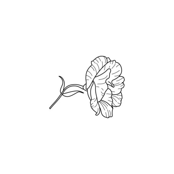 Lisianthus Fiori con foglie. Outline Eustoma In uno stile moderno minimalista. Illustrazione floreale vettoriale. — Vettoriale Stock