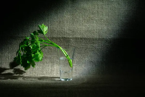 bir bardak su ve Yeşiller