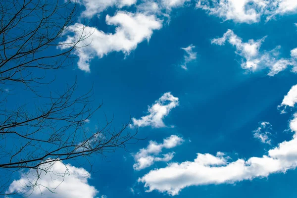 spring sky and clouds through the sun