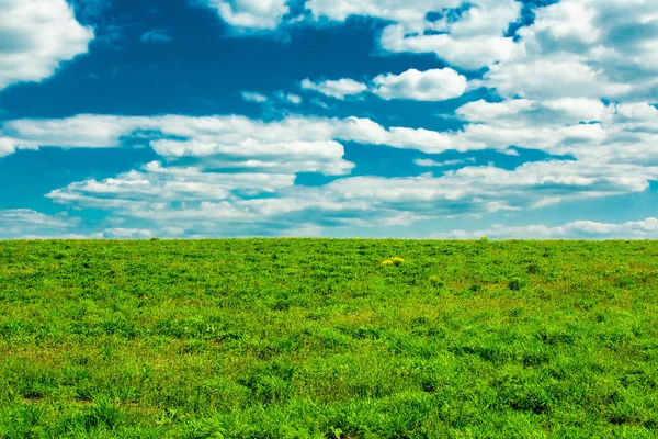 açık yeşil çayır ve bulutlar ile mavi gökyüzü