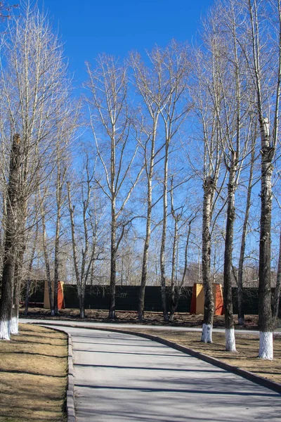 yol Park ve ağaçların uzun gölgeler lider