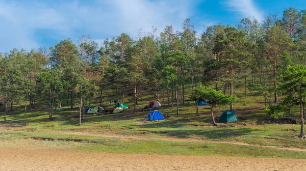 çamlar arasında çadır kampı